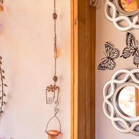 Kikiki House Vista Jardin La 5